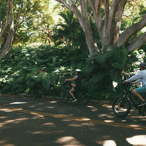 Electric Bike Hawaii