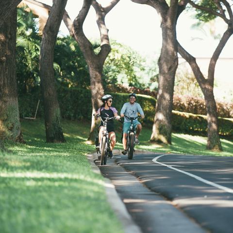 Electric Bike Rental Wailea
