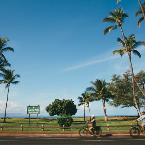 Kihei Bicycle Rental
