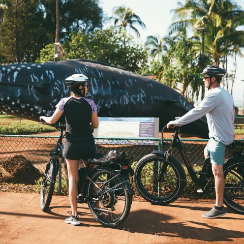 Kihei Bike Rental