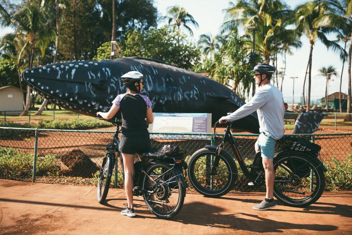 Kihei Bike Rental