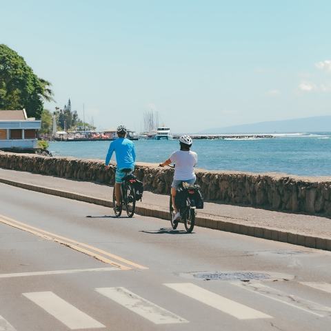 Lahaina Day Activities