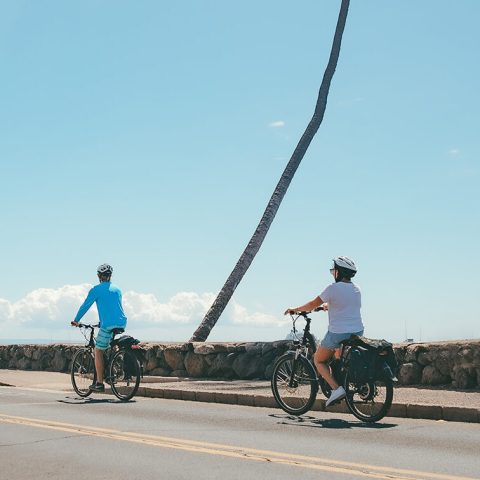 Lahaina Electric Bike