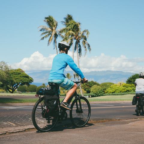 Maui By Electric Bike