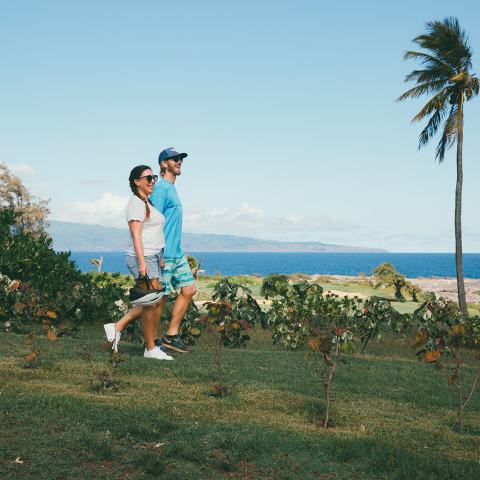 Maui Couples Activities