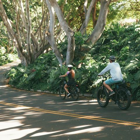 Maui Electric Bike Tour