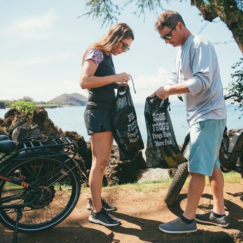 South Maui Activities